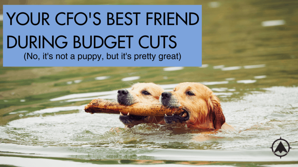 Your CFO’s Best Friend During Budget Cuts
