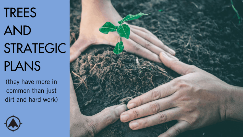 Planting Trees and Strategic Plans at Your CU or Community Bank