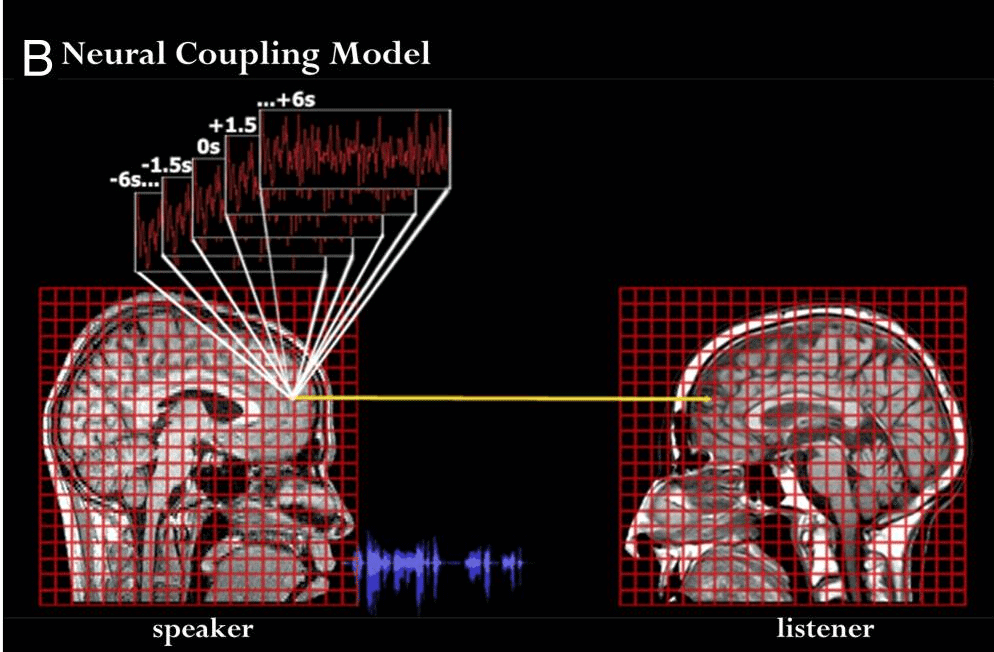 image of neural coupling and how telling your brand story elevates your business