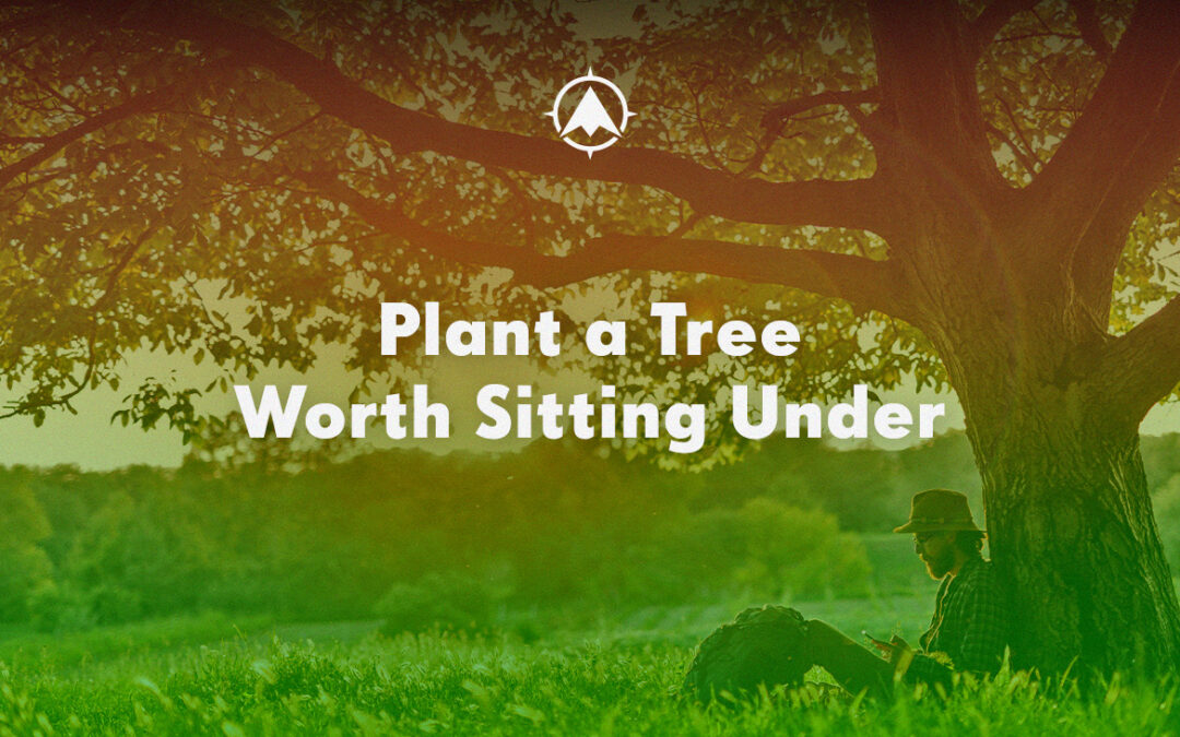 Plant a Tree Worth Sitting Under