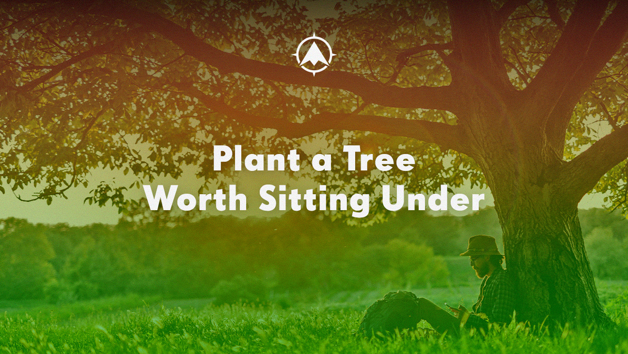 Plant a Tree Worth Sitting Under
