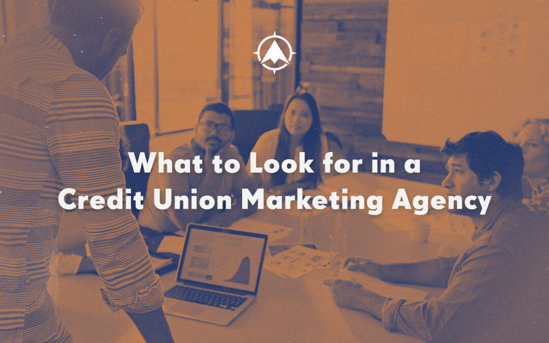 What to Look for in a Credit Union Marketing Agency