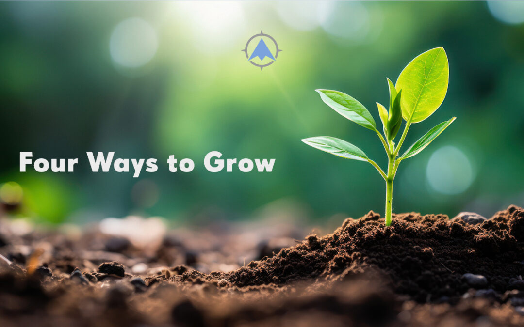 Four Ways to Grow Your Credit Union or Bank
