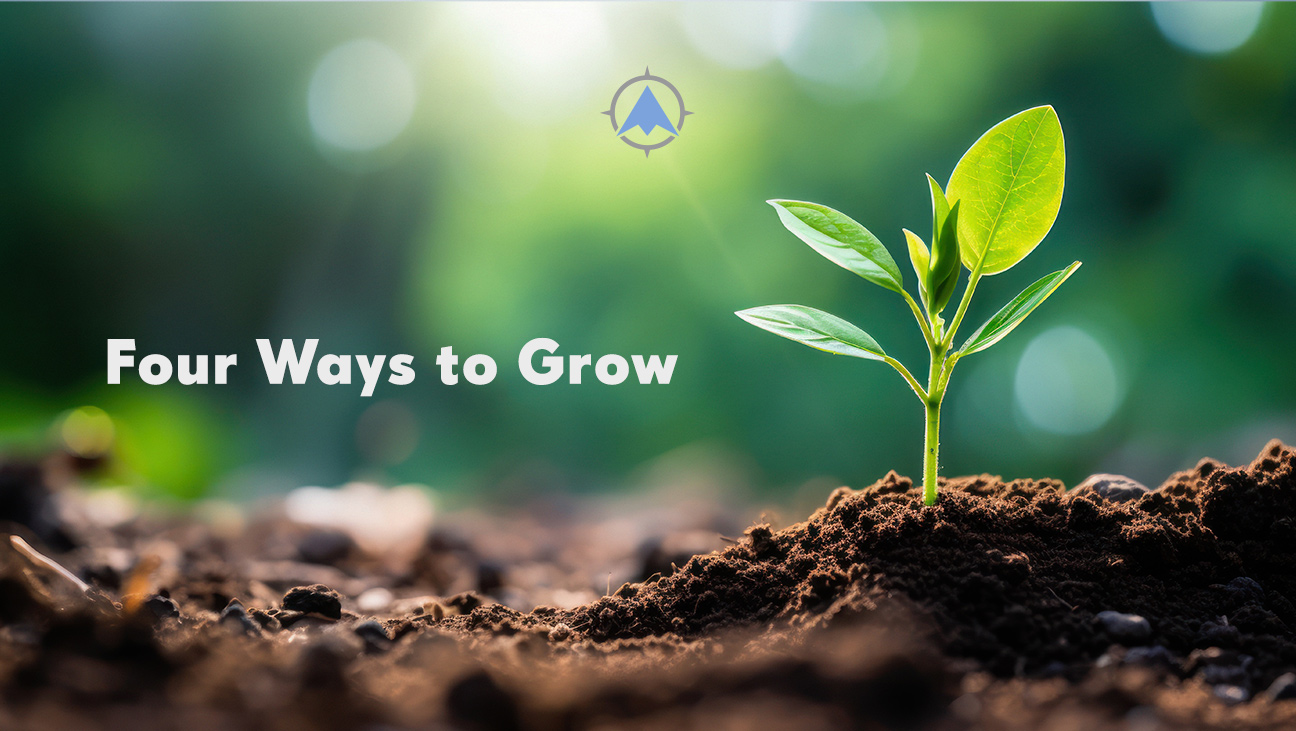 Four Ways to Grow Your Credit Union or Bank