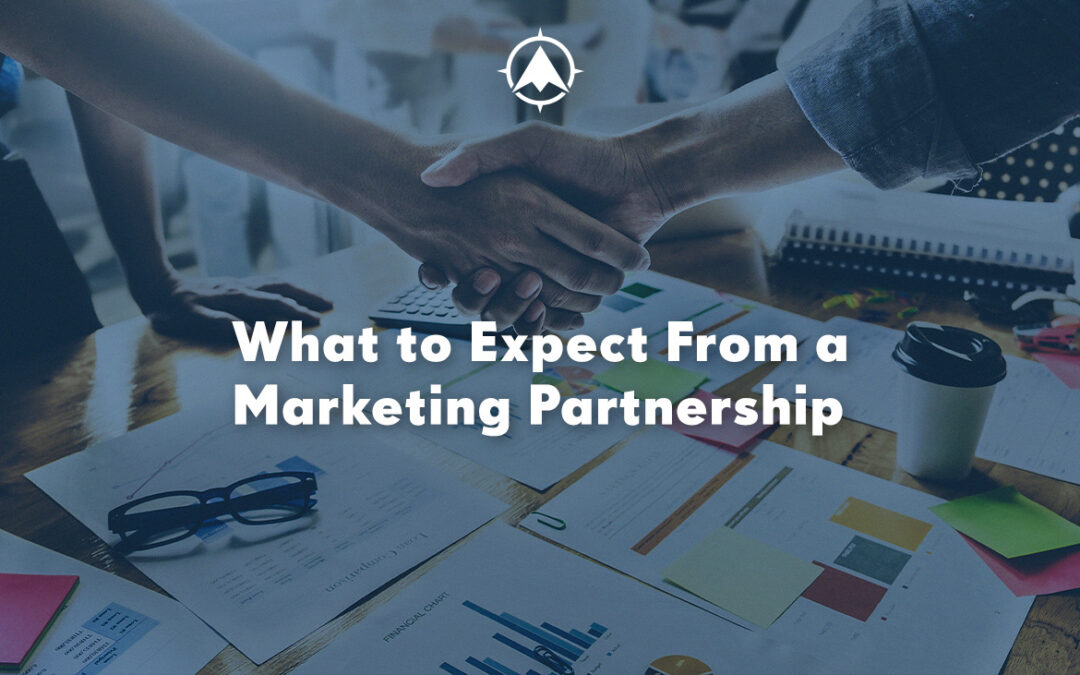 What to Expect From a Financial Services Marketing Agency